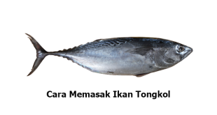 Cara Memasak Ikan Tongkol